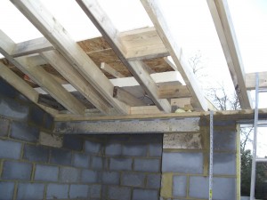 extension roof flat joists viii building